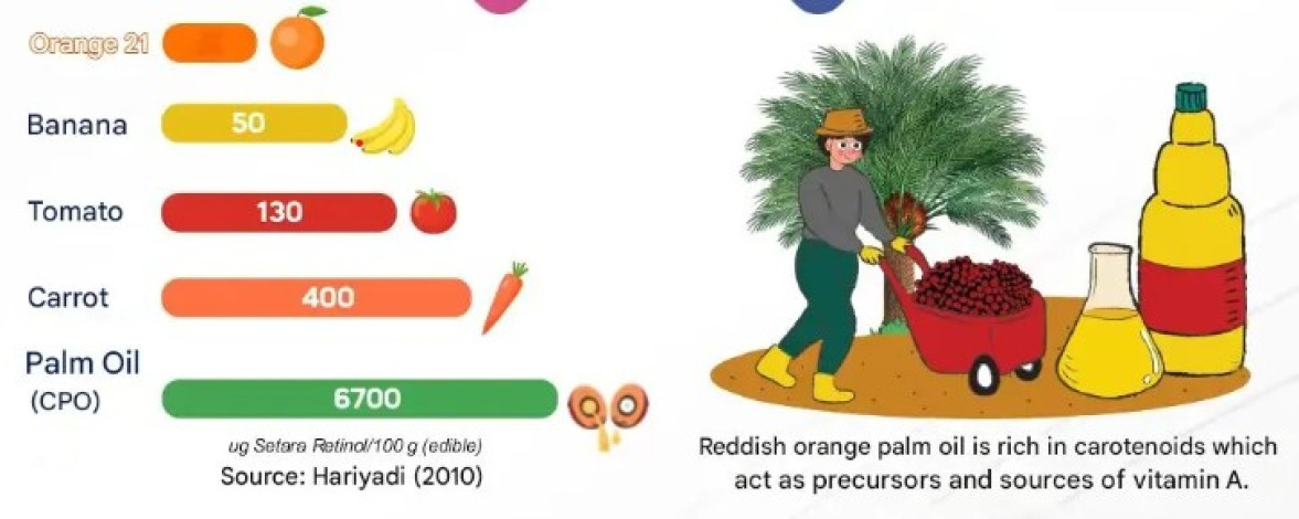 Palm Oil Richest In Vitamin A, Potential To Make RI Self-Reliant