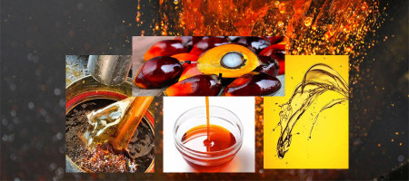Government to purchase 22 million liters of palm oil for TCB